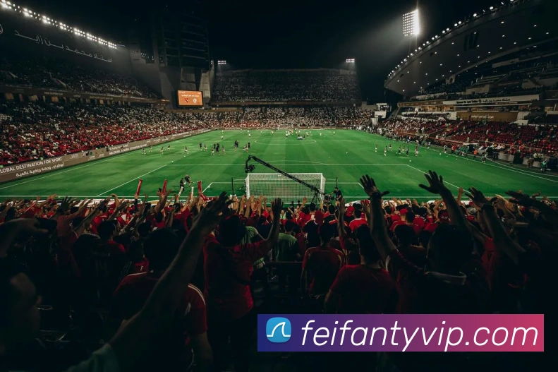 非凡体育发展历程